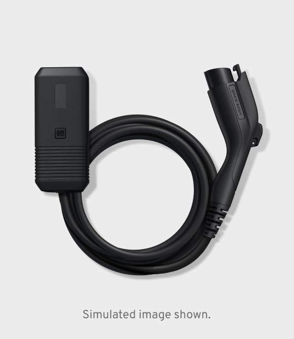 GM Dual Level Charger
