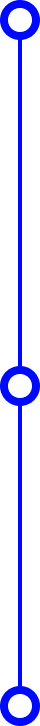 Blue vertical line